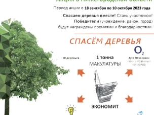 Осенью в Нижегородской области снова стартует Всероссийский Эко-марафон ПЕРЕРАБОТКА «Сдай макулатуру – спаси дерево»